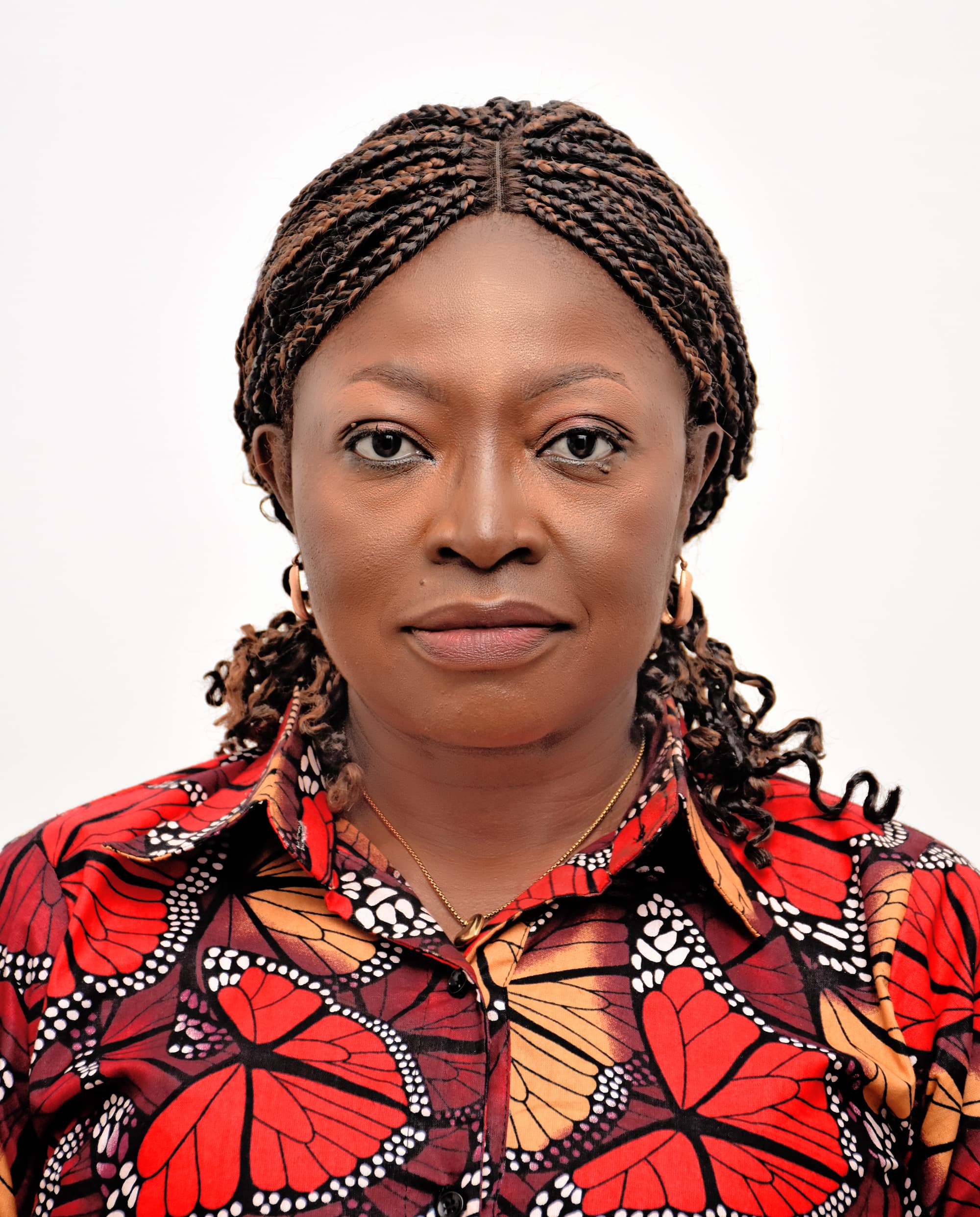 Professor Lami A. Nnamonu, PMP